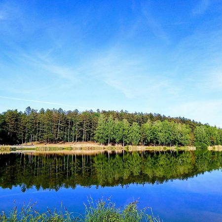 Sztar Motel Etterem Balassagyarmat Exteriér fotografie